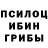 Псилоцибиновые грибы Psilocybine cubensis serg todorenko