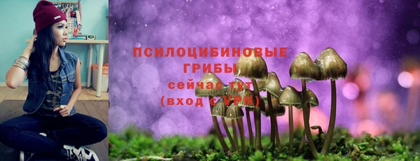 МДМА Краснослободск